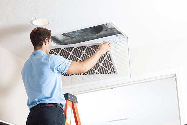 Best Air Filters and Purifiers in Surrey, ND